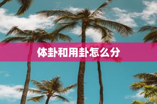 体卦和用卦怎么分