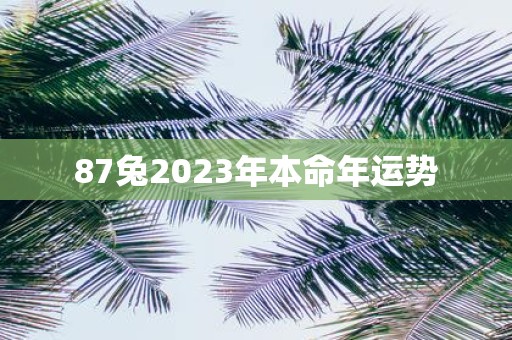87兔2025年本命年运势