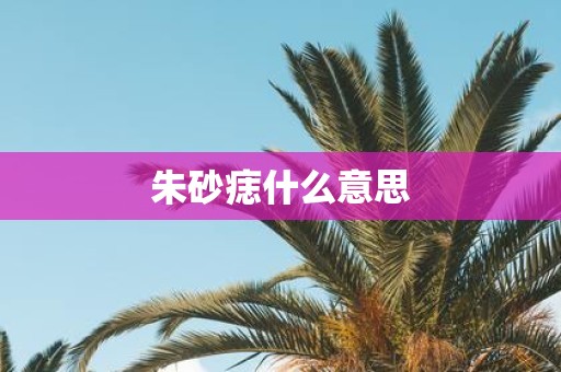 朱砂痣什么意思