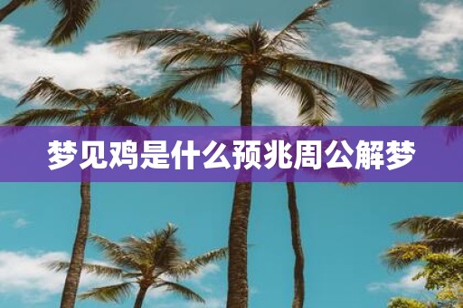 梦见鸡是什么预兆周公解梦