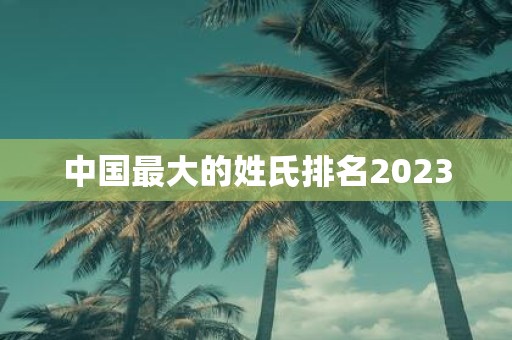 中国最大的姓氏排名2023