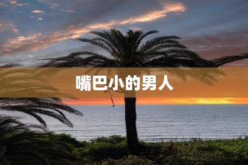 嘴巴小的男人