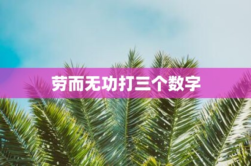 劳而无功打三个数字