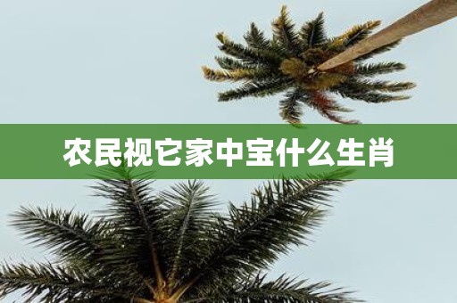 农民视它家中宝什么生肖