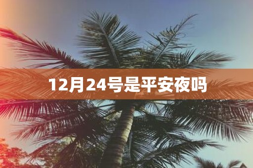 12月24号是平安夜吗