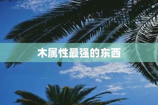 木属性最强的东西