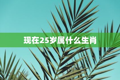 现在25岁属什么生肖