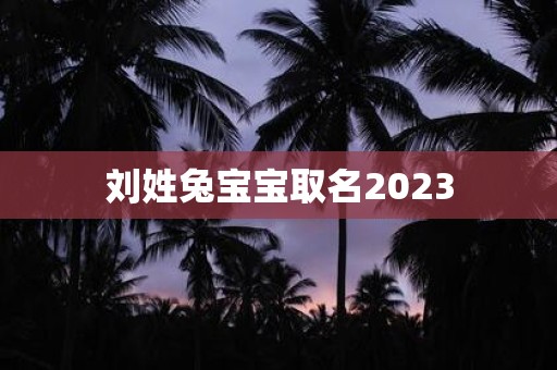 刘姓兔宝宝取名2023