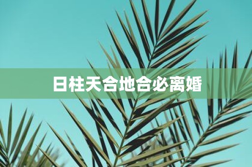 日柱天合地合必离婚