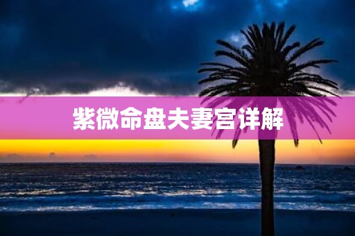 紫微命盘夫妻宫详解