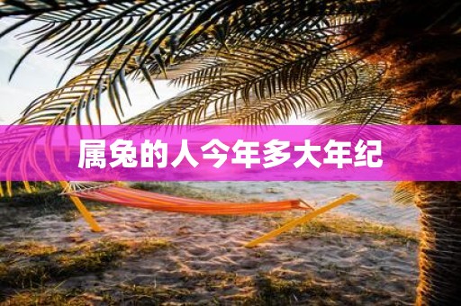 属兔的人今年多大年纪