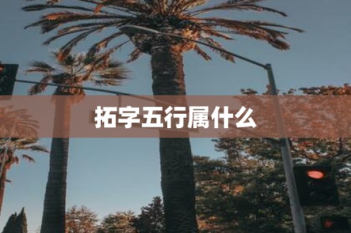 拓字五行属什么