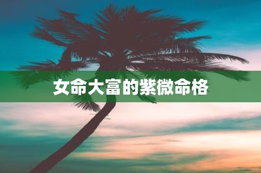 女命大富的紫微命格