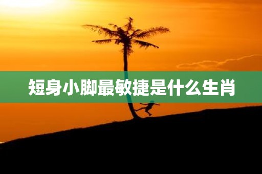 短身小脚最敏捷是什么生肖