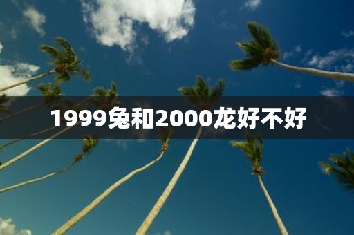 1999兔和2000龙好不好