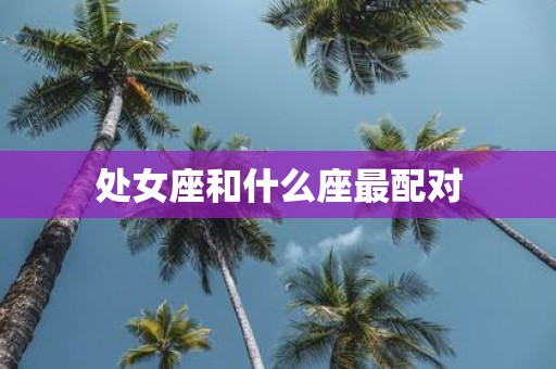 处女座和什么座最配对
