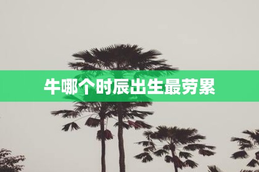 牛哪个时辰出生最劳累