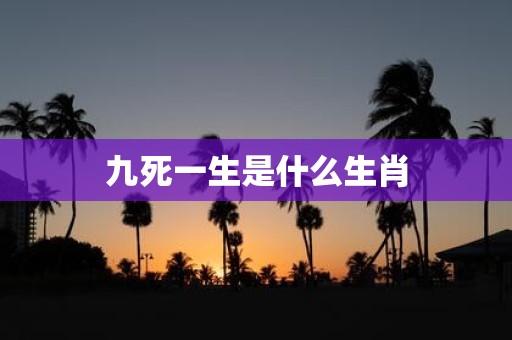 九死一生是什么生肖