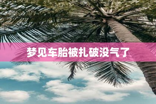 梦见车胎被扎破没气了