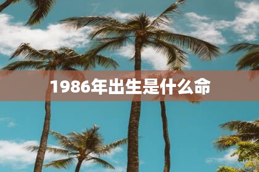 1986年出生是什么命