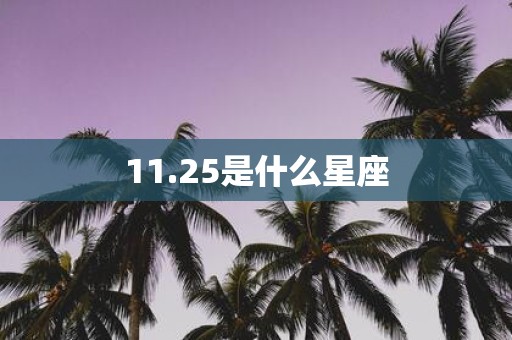 11.25是什么星座