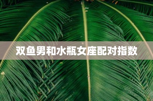 双鱼男和水瓶女座配对指数