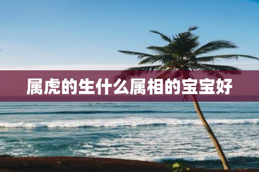 属虎的生什么属相的宝宝好