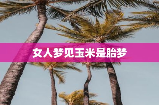 女人梦见玉米是胎梦