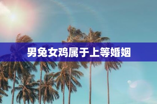 男兔女鸡属于上等婚姻