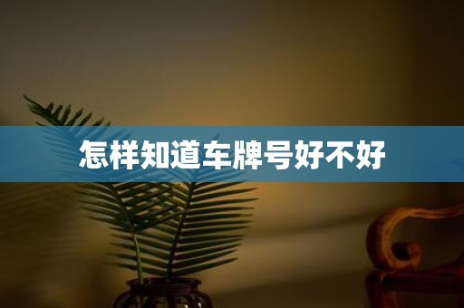 怎样知道车牌号好不好