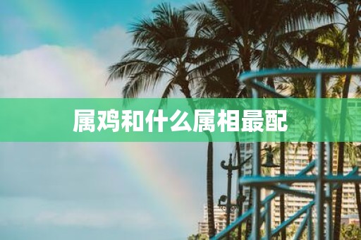 属鸡和什么属相最配