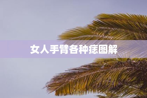 女人手臂各种痣图解
