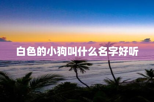 白色的小狗叫什么名字好听