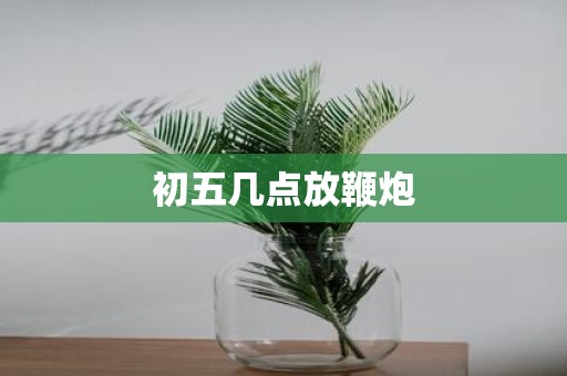 初五几点放鞭炮