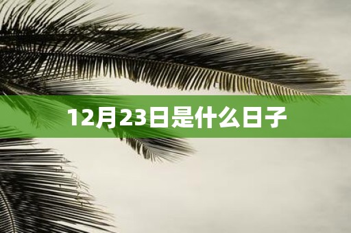 12月23日是什么日子