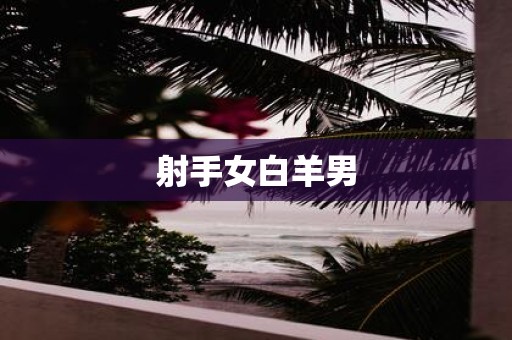 射手女白羊男