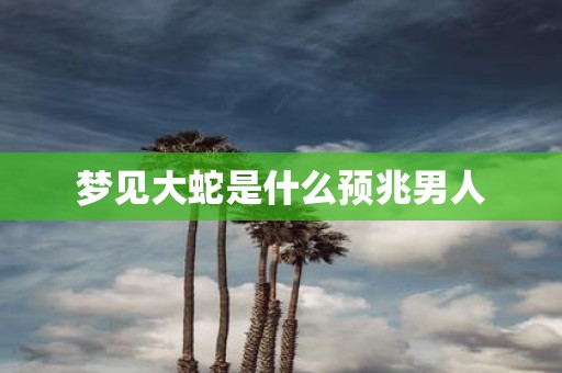 梦见大蛇是什么预兆男人
