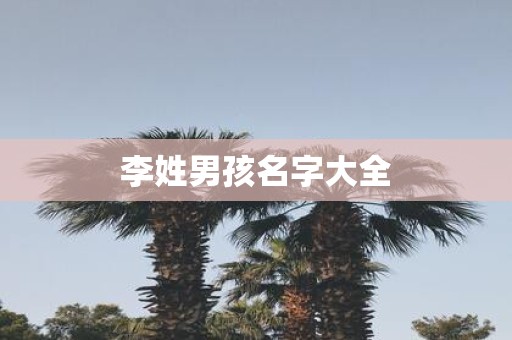 李姓男孩名字大全