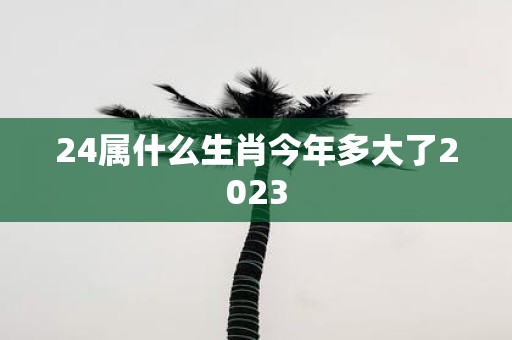 24属什么生肖今年多大了2025