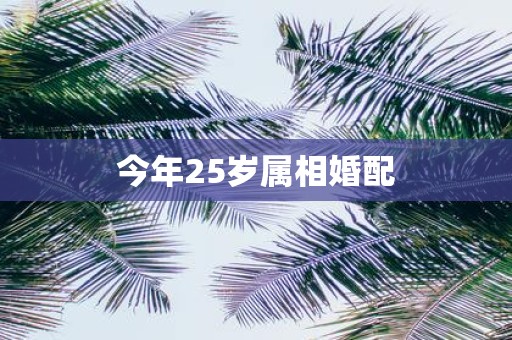 今年25岁属相婚配