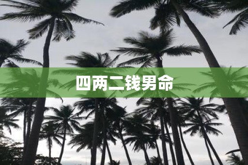 四两二钱男命