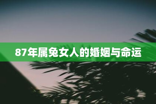 87年属兔女人的婚姻与命运