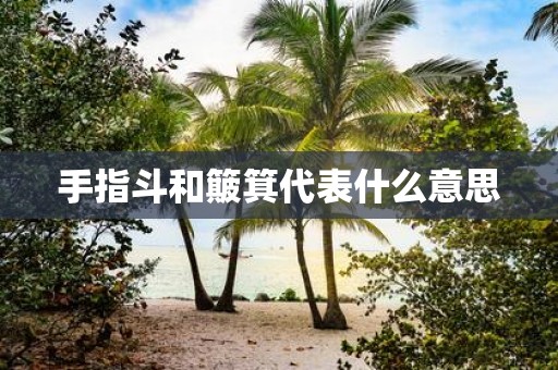 手指斗和簸箕代表什么意思