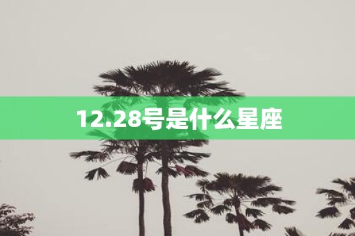 12.28号是什么星座