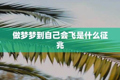 做梦梦到自己会飞是什么征兆