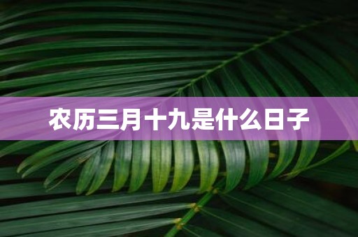 农历三月十九是什么日子