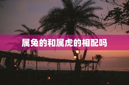 属兔的和属虎的相配吗