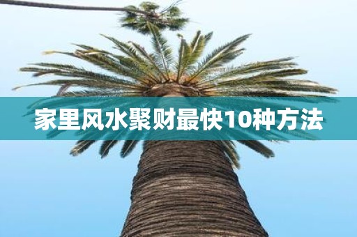 家里风水聚财最快10种方法