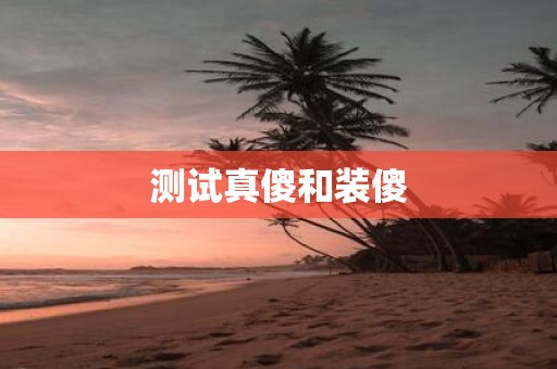 测试真傻和装傻