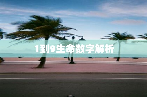 1到9生命数字解析